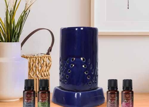 Electric Oil Warmer with Free 4 Pack Fragrance Oil (COB-250 BLUE)