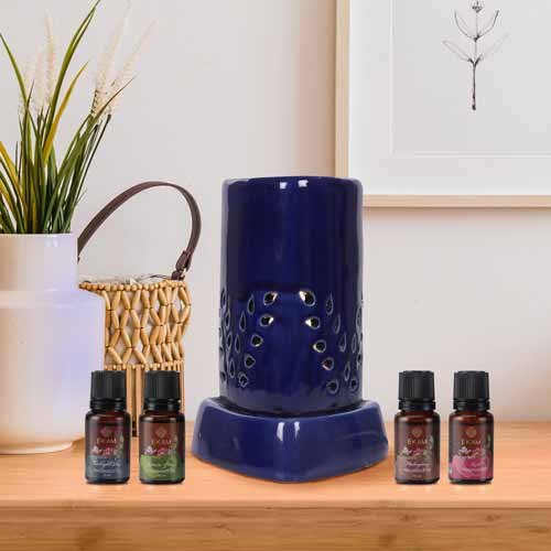 Electric Oil Warmer with Free 4 Pack Fragrance Oil (COB-250 BLUE)
